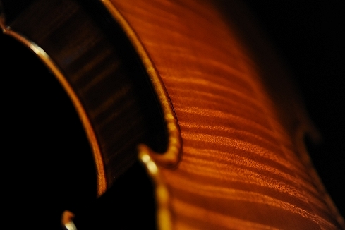 �o�C�I���� �C�^���A �I�r�` �N�����i