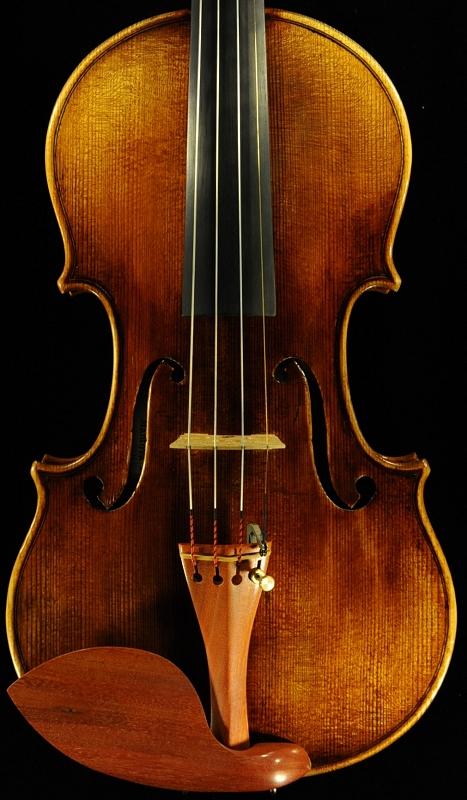 �o�C�I���� �C�^���A �K���o���� �N�����i