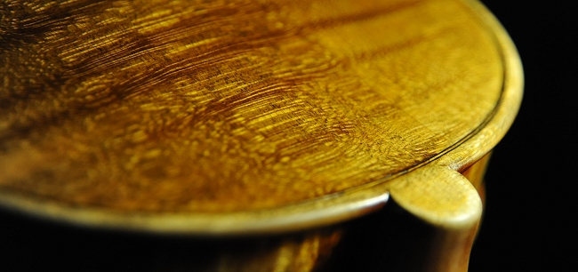 �o�C�I���� �C�^���A �}�W�R �N�����i