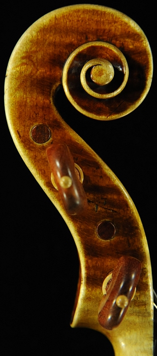 �o�C�I���� �C�^���A �K���o���� �N�����i