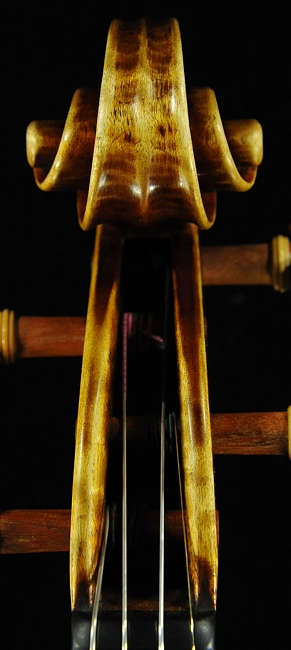 �o�C�I���� �C�^���A �K���o���� �N�����i