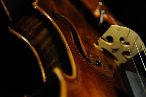 �o�C�I���� �C�^���A �K���o���� �N�����i