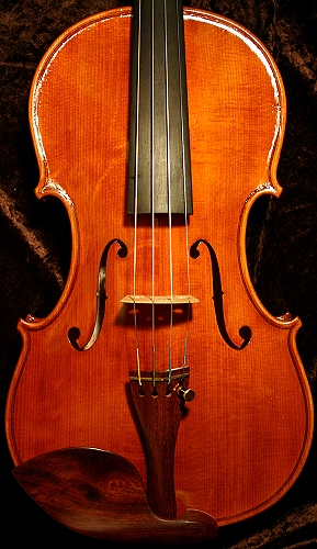 �o�C�I���� �C�^���A �f�B�r�A�b�W�� �H�[