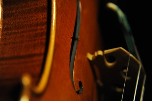 �o�C�I���� �C�^���A �f�B�r�A�b�W�� �H�[