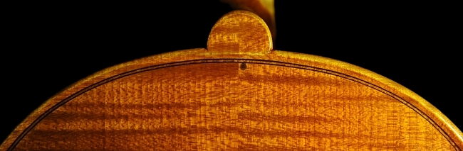 �o�C�I���� �C�^���A �f�B�r�A�b�W�� �H�[