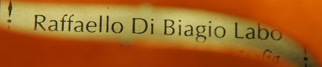 �o�C�I���� �C�^���A �f�B�r�A�b�W�� �H�[