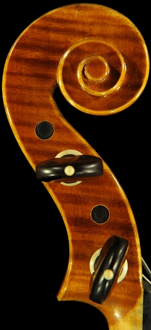 �o�C�I���� �C�^���A �f�B�r�A�b�W�� �H�[