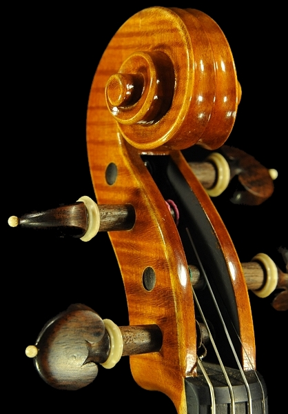 �o�C�I���� �C�^���A �f�B�r�A�b�W�� �H�[