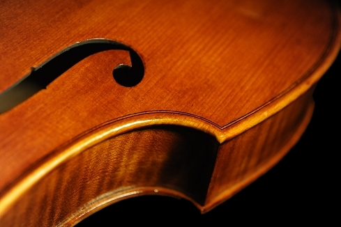 Viola Neo Viol MAGICO TOKYO