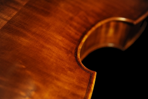 Viola Neo Viol MAGICO TOKYO