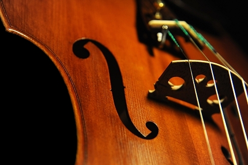 Viola Neo Viol MAGICO TOKYO