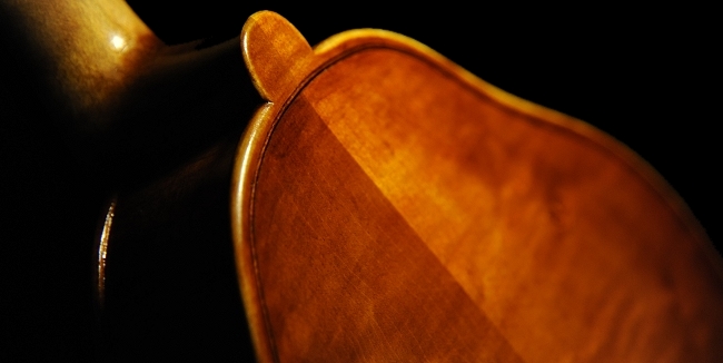 Viola Neo Viol MAGICO TOKYO