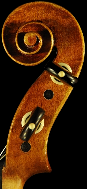 Viola Neo Viol MAGICO TOKYO