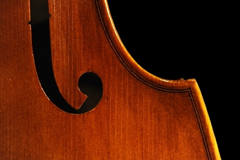 Viola Neo Viol MAGICO TOKYO