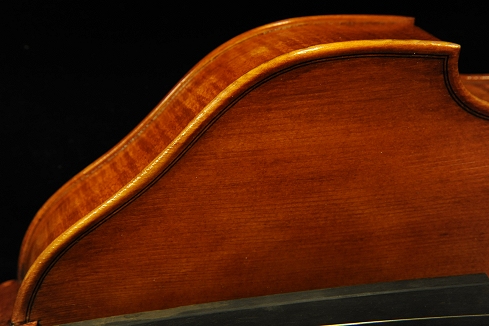 Viola Neo Viol MAGICO TOKYO
