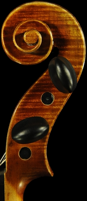 ���S�� �������� �o�C�I����