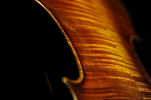 �T���g���F���f ���S�� �o�C�I����