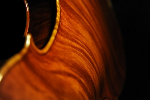 �o�C�I���� MAGICO �C�^���A