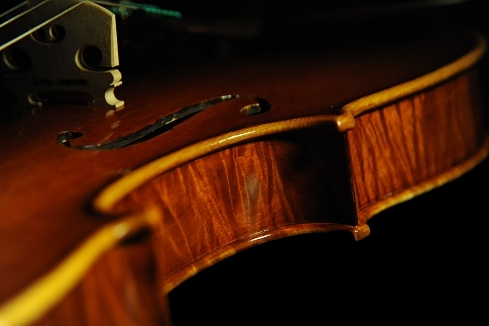 �o�C�I���� MAGICO �C�^���A