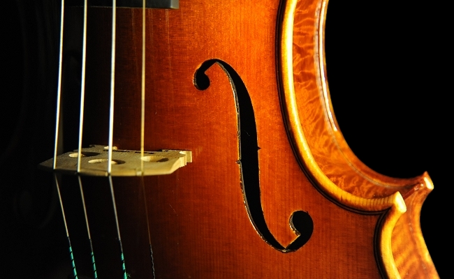 �o�C�I���� MAGICO �C�^���A