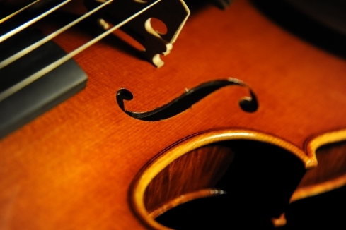 �`�[���@ �N�����i �o�C�I���� �C�^���A