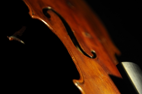 �o�C�I���� �C�^���A �}�W�R