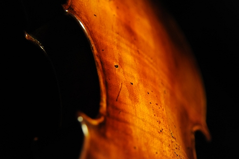 �o�C�I���� �C�^���A �}�W�R