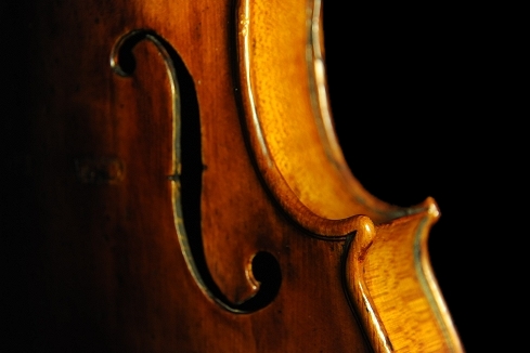 �o�C�I���� �C�^���A �}�W�R