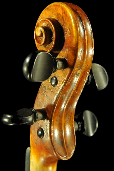 �`�� �J���G���h �o�C�I���� �C�^���A