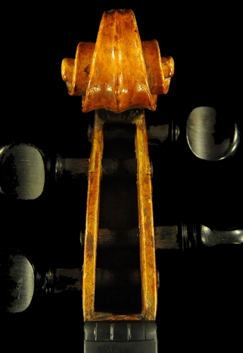 �`�� �J���G���h �o�C�I���� �C�^���A