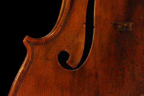 �`�� �J���G���h �o�C�I���� �C�^���A