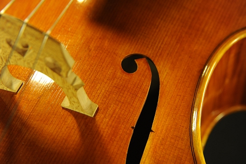 MAGICO Palayer Cello ITALY クレモナ
