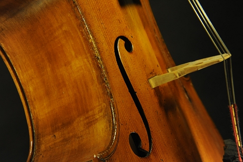 �\�t���b�e�B Soffritti Cello MAGICO