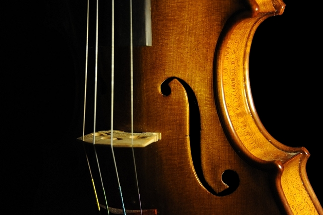 �`�� �J���G���h �o�C�I���� �C�^���A �i�|��