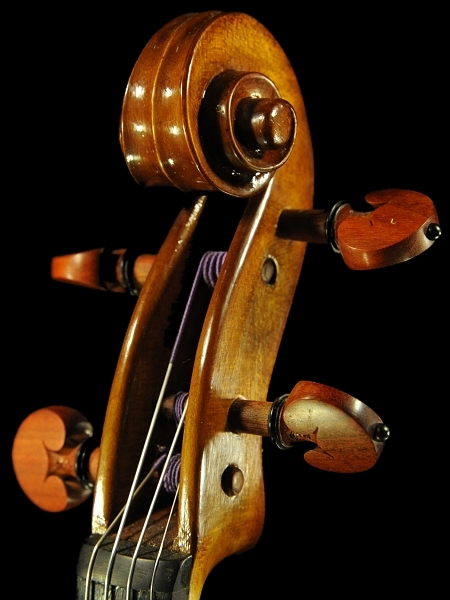 �`�� �J���G���h �o�C�I���� �C�^���A �i�|��