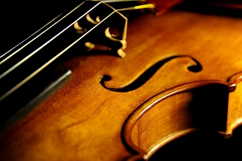 �`�� �J���G���h �o�C�I���� �C�^���A �i�|��