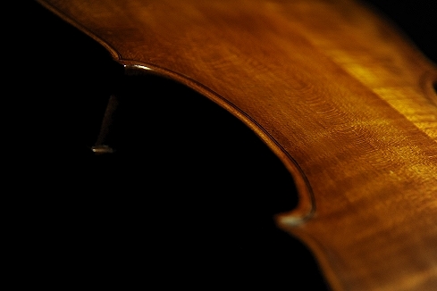 �`�� �J���G���h �o�C�I���� �C�^���A �i�|��