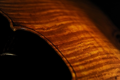 �K���A�[�m �j�R�� �I�[���h�o�C�I���� �C�^���A �i�|�� MAGICO