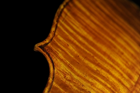 �K���A�[�m �j�R�� �I�[���h�o�C�I���� �C�^���A �i�|�� MAGICO