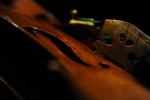 �K���A�[�m �j�R�� �I�[���h�o�C�I���� �C�^���A �i�|�� MAGICO