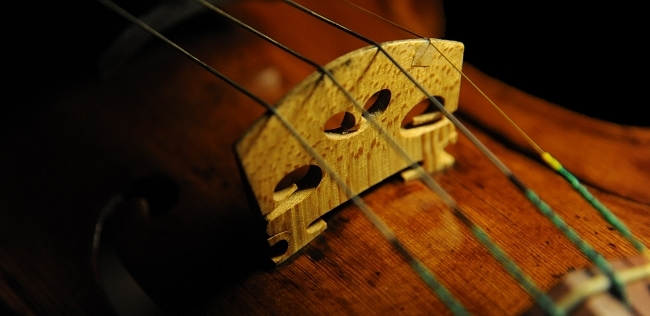 �K���A�[�m �I�[���h�o�C�I���� �C�^���A MAGICO