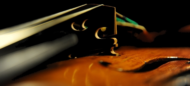 �I�[���h�o�C�I���� Gaglian ITALY �}�W�R