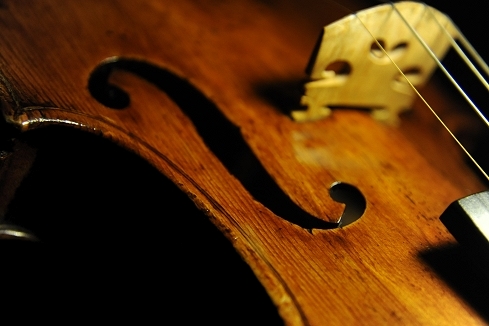 �K���A�[�m �j�R�� �o�C�I���� �C�^���A �i�|�� MAGICO