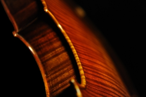 �r�I�� da Salo Viola Santo Spirito