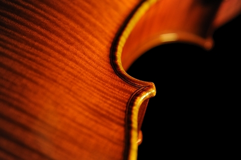 Gadda Violin MAGICO ITALY