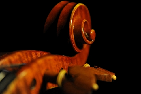 �K�b�_ ���_�� �C�^���A �o�C�I���� �}�W�R