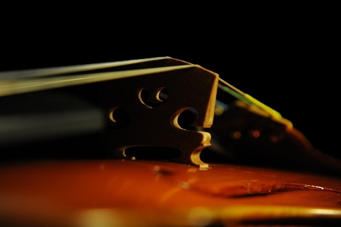 �o�C�I���� �}�W�R �C�^���A