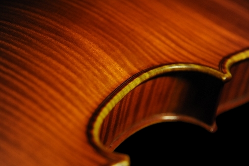 �K�b�_ ���_�� �C�^���A �o�C�I���� �}�W�R