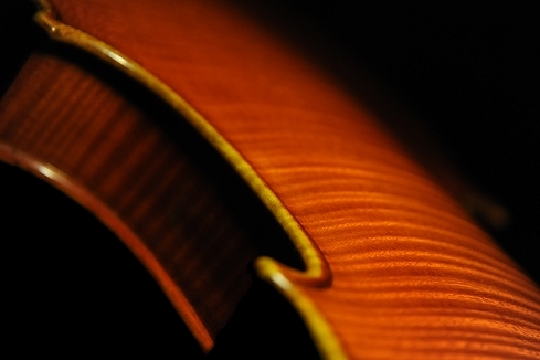 �o�C�I���� �}�W�R �C�^���A