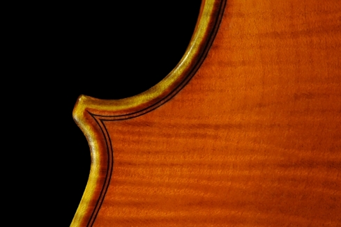 �K�b�_ ���_�� �C�^���A �o�C�I���� �}�W�R